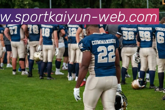 开云体育平台生态图